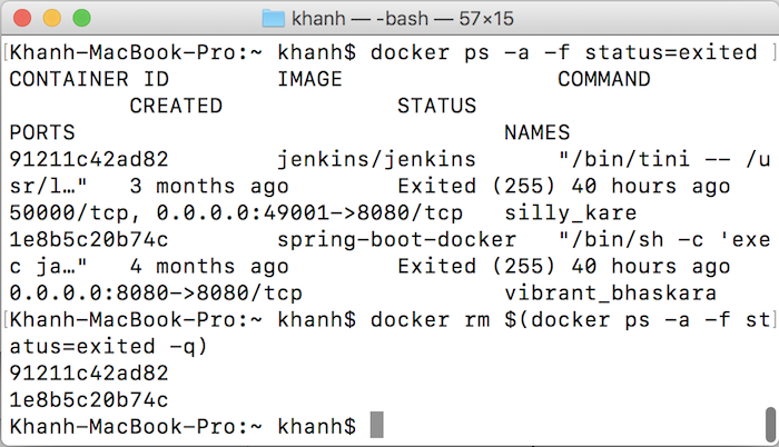 Remove Container in Docker