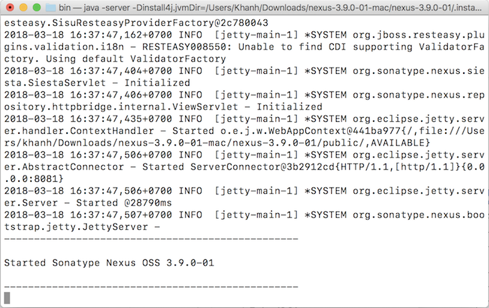 Install Nexus Repository Manager