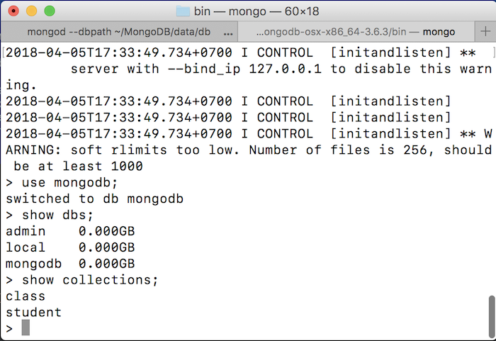 Manipulate with MongoDB in Java application