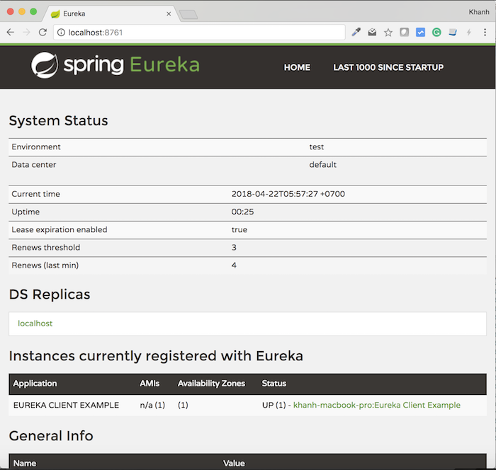 Register services with Eureka Server using Eureka Client, with Spring Cloud Netflix
