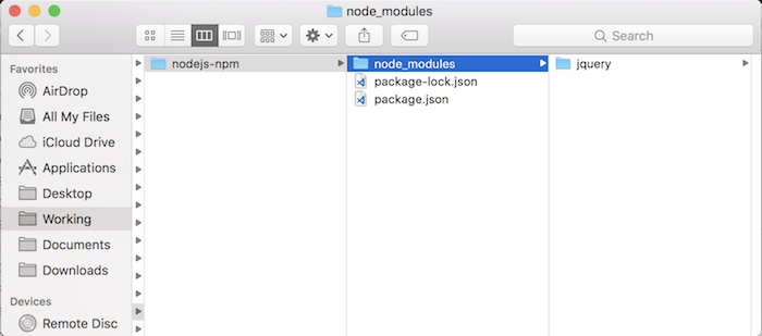 Tổng quan về Node Package Manager trong Node.js